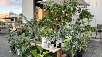 植物　富山　インテリア　